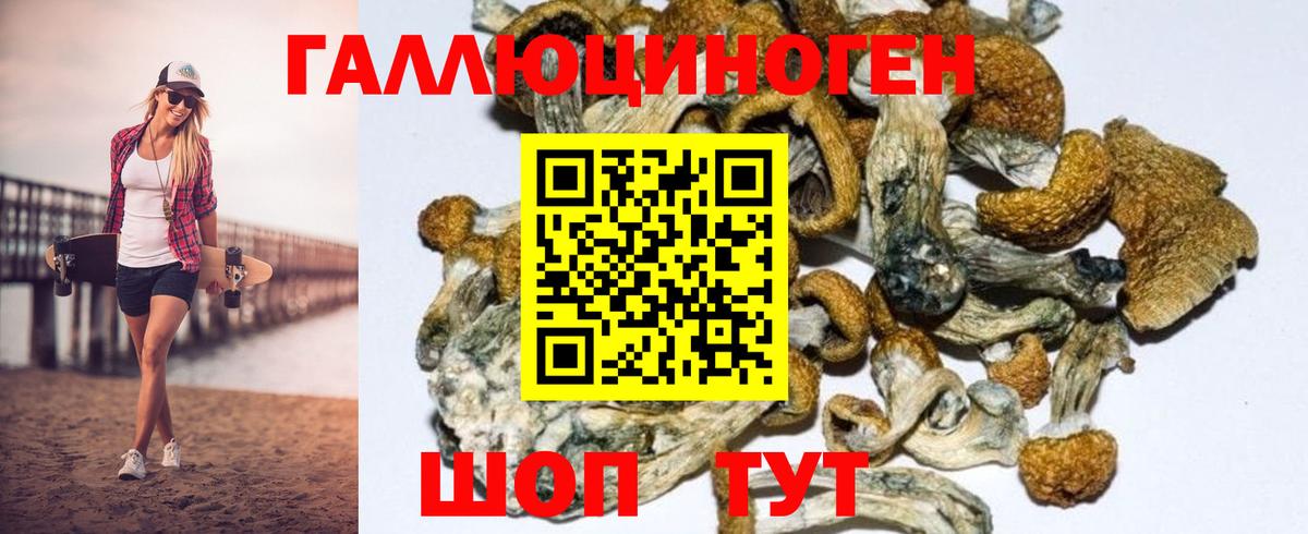 Вязьма  Псилоцибиновые грибы GOLDEN TEACHER  Вход с VPN 